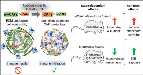 Towards entry "Paper published in EMBO Reports"